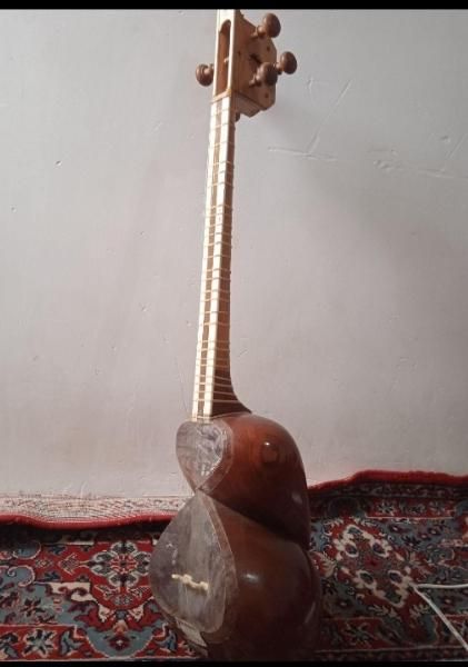 تار تک مهر سالاری ، سازی مناسب آموزش|سازهای سنتی|تاکستان, |دیوار