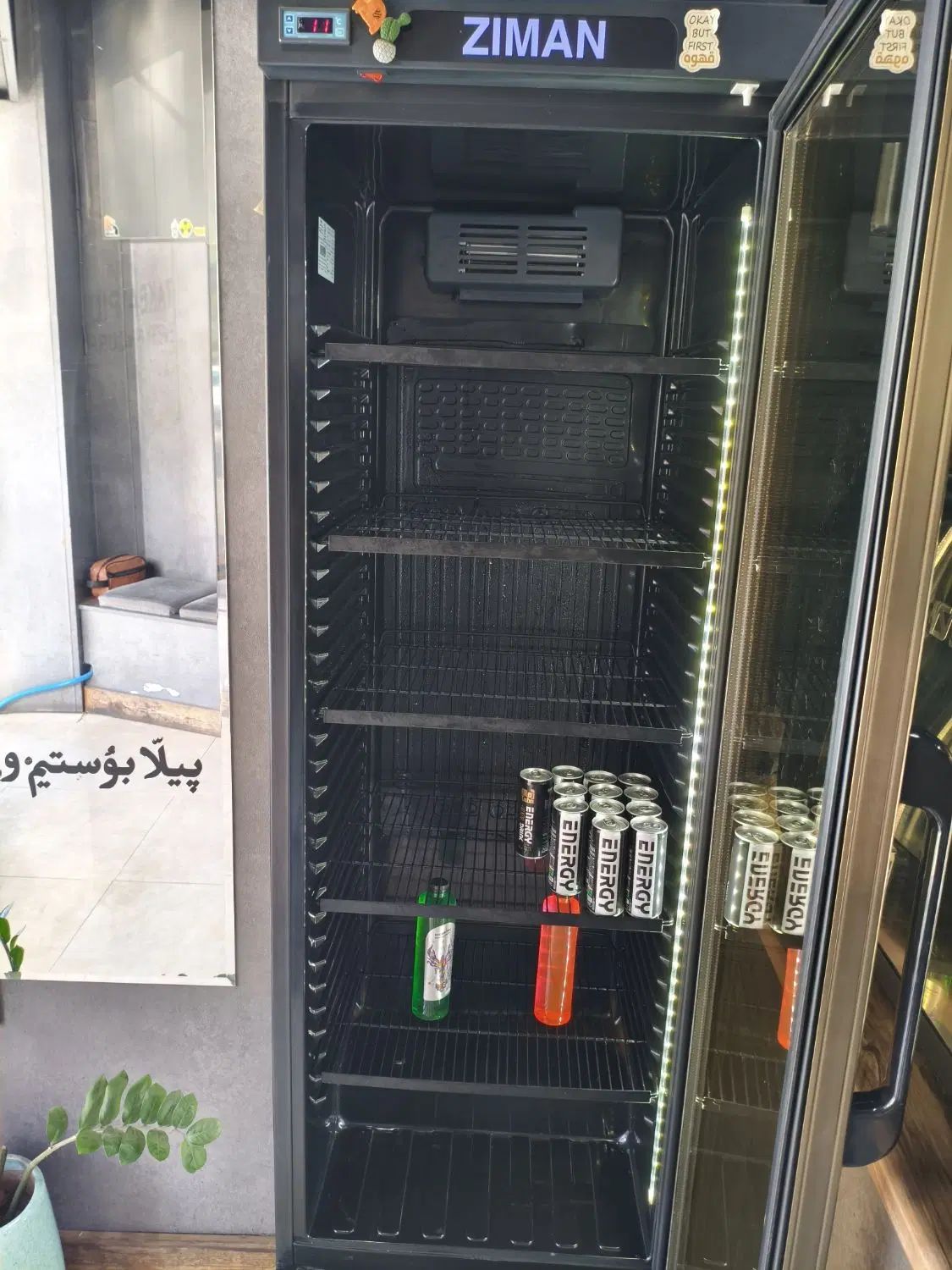 یخچال ایستاده|فروشگاه و مغازه|رشت, دیلمان|دیوار