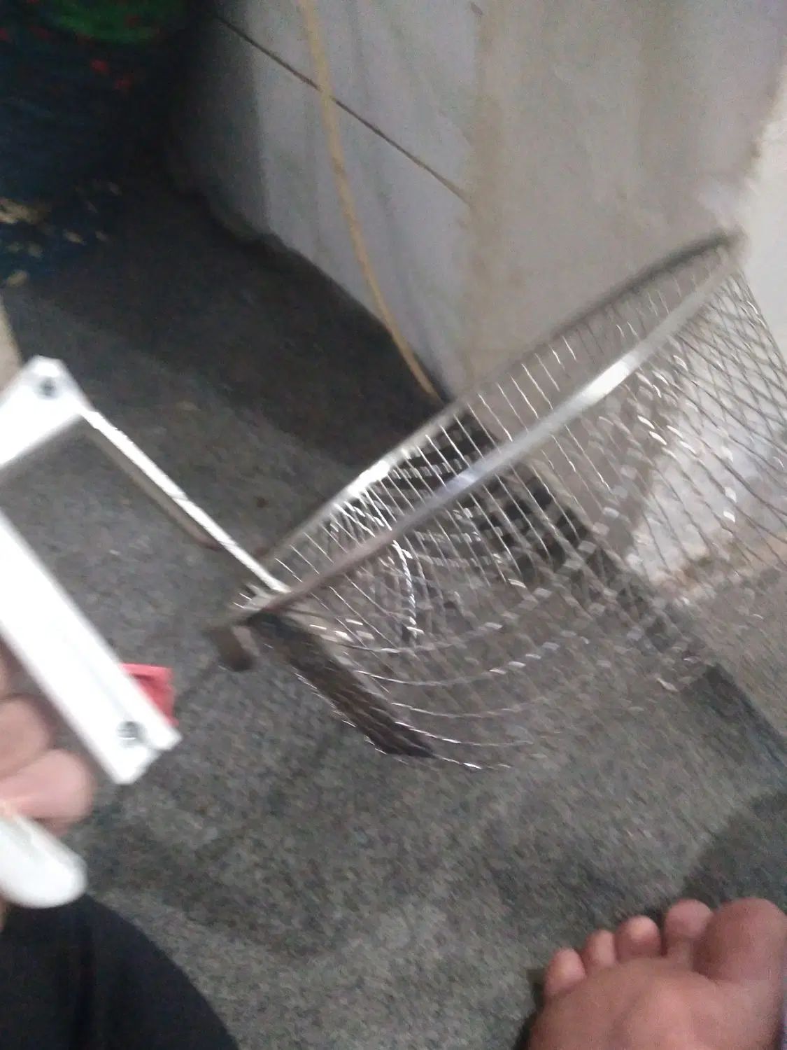 سرخ کن فانتوم ۶ نفره|اجاق گاز و لوازم برقی پخت‌وپز|رشت, استقامت ۱|دیوار