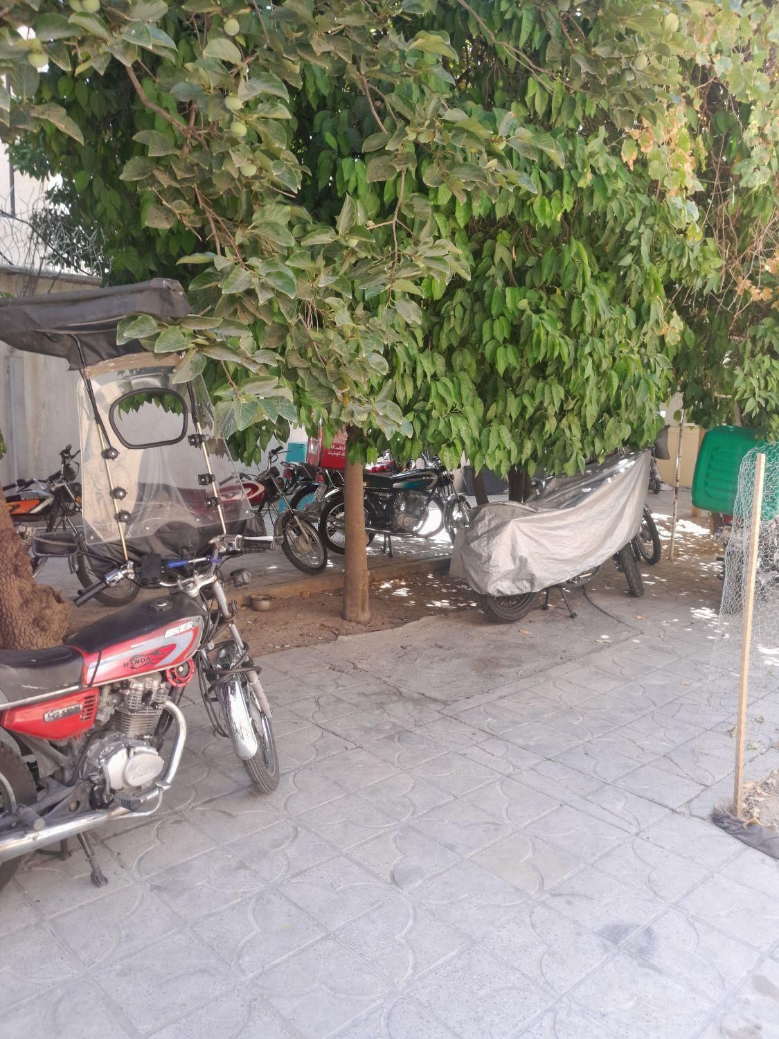 خوابگاه پسرانه نوید|اجارهٔ کوتاه‌مدت آپارتمان و سوئیت|شیراز, سینما سعدی|دیوار