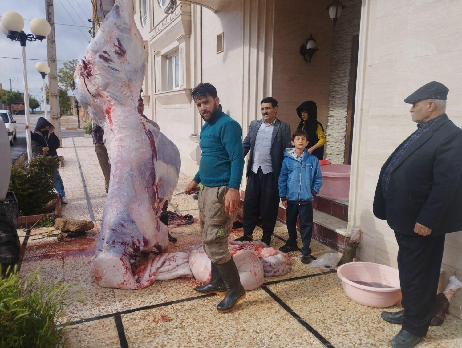 قصاب و زبح گوسفند گوساله با موازین شرعی|خدمات پذیرایی، مراسم|همدان, |دیوار