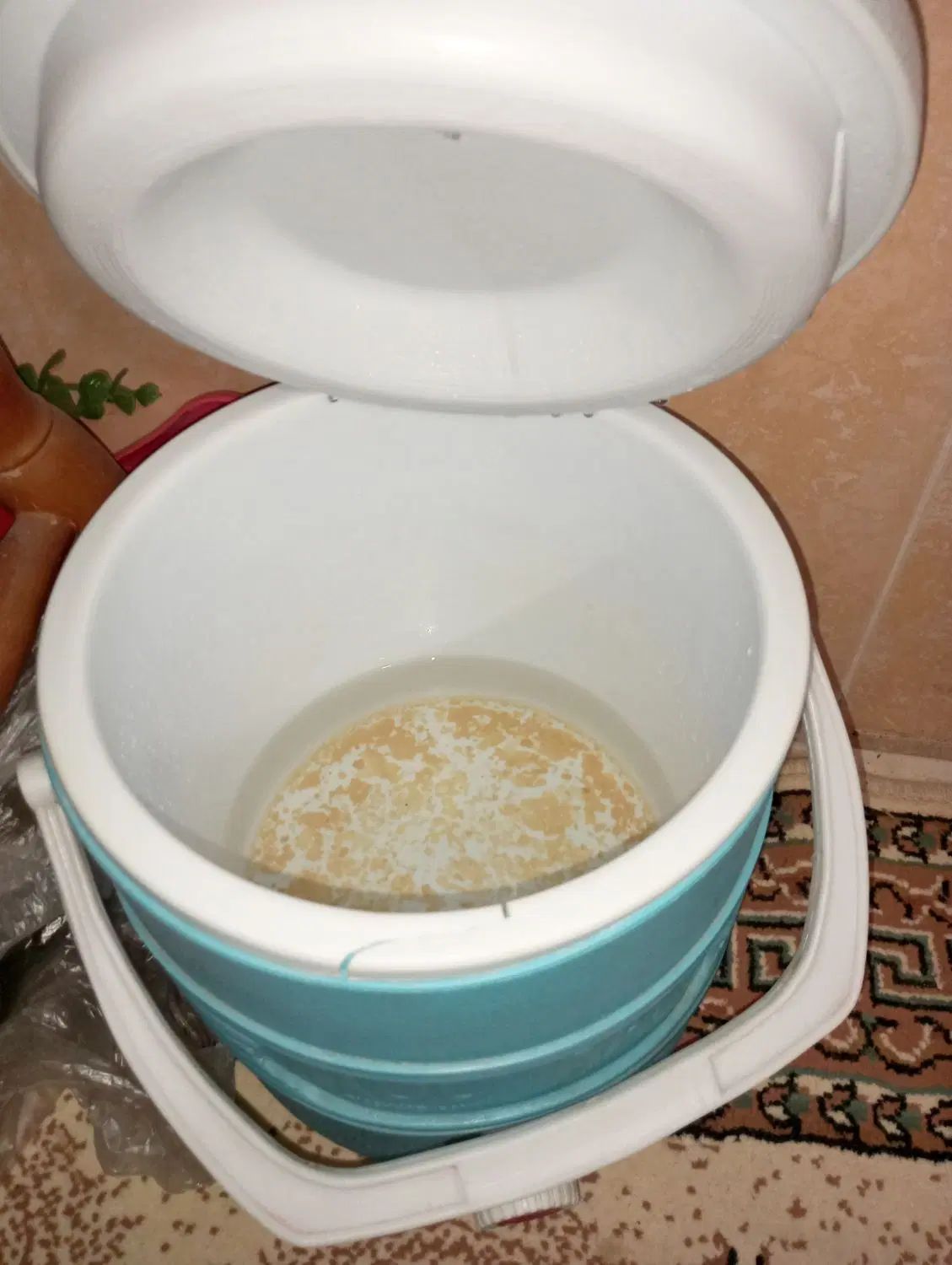 کلمن|ظروف نگهدارنده، پلاستیکی، یک‌بارمصرف|مشهد, گلبرگ شمالی|دیوار