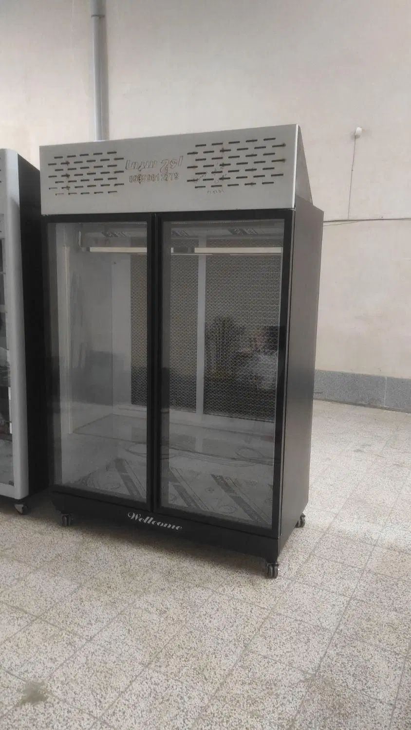 یخچال 2// درب صنعتی// ایستاده|فروشگاه و مغازه|مشهد, بهمن|دیوار