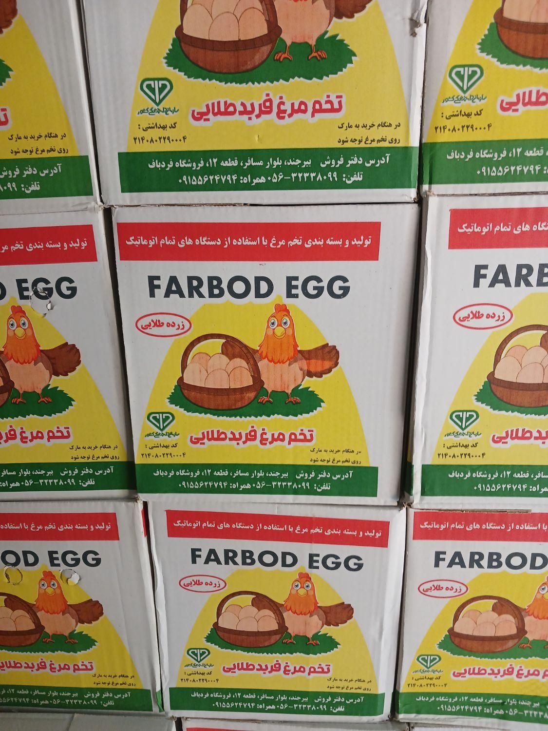 راننده|استخدام حمل و نقل|زاهدان, |دیوار