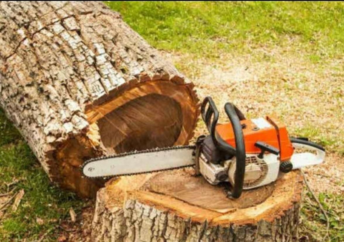 کرایه اره بنزینی برقی شارژی اجاره علف زن پولیش|ماشینآلات صنعتی|اصفهان, عباسآباد|دیوار