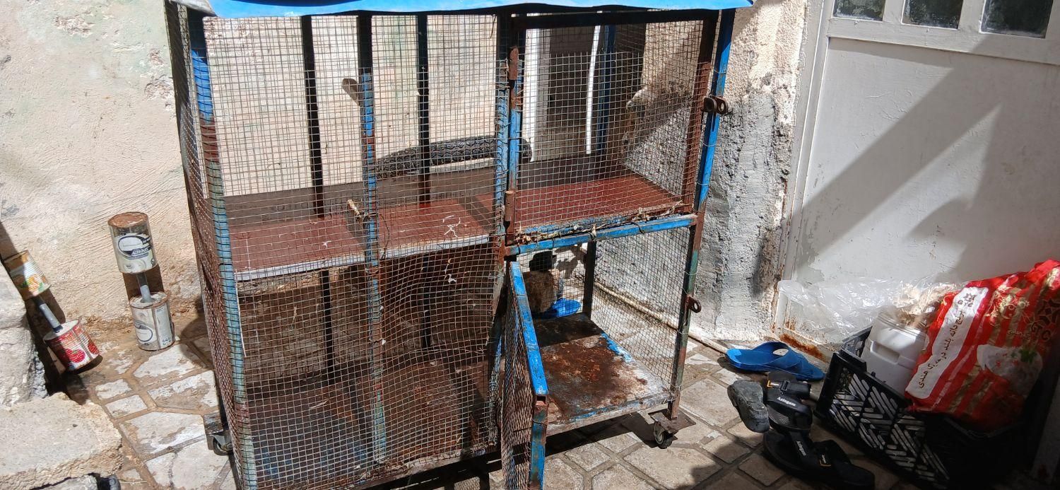 قفس سالم و تمیز .و دو طبقه  و چرخ دار|پرنده|شیراز, سعدیه شمالی|دیوار