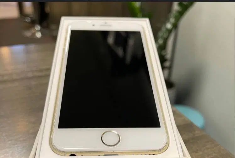 اولiPhone 6s|موبایل|تهران, اقدسیه|دیوار