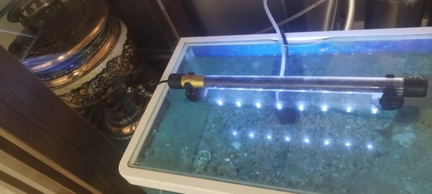 آکواریوم شیشه خم ماهی لجن خوار چراغ led|ماهی|تهران, هاشمی|دیوار