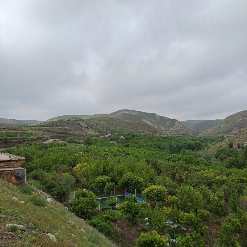 فروشومعاوضه باغ۱۰۰۰ متری در عارفی|فروش دفتر صنعتی، کشاورزی، تجاری|مشهد, رباط طرق|دیوار