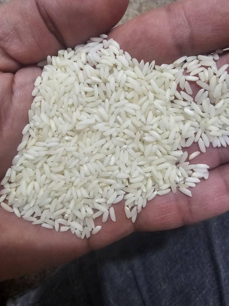 برنج سینماسوری|خوردنی و آشامیدنی|اهواز, آریاشهر|دیوار