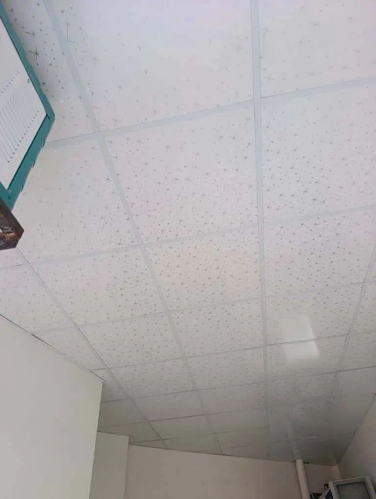 نصاب سقف کاذب ۶۰×۶۰تایل گچی و پی وی سی و دیوارپوش|خدمات پیشه و مهارت|کرج, فاز ۳ گوهردشت|دیوار