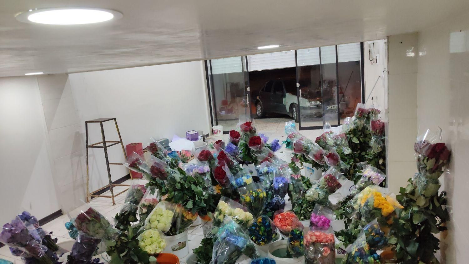 پخش عمده رز هلندی داودی عروس کادو هدیه دسته گل|گل و گیاه طبیعی|شیراز, جوادیه|دیوار