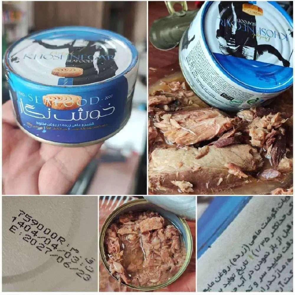 فروش انواع تن ماهی جنوب.خوشتون.شیلور.شاهوتن.نعیم|خوردنی و آشامیدنی|تهران, گمرک|دیوار