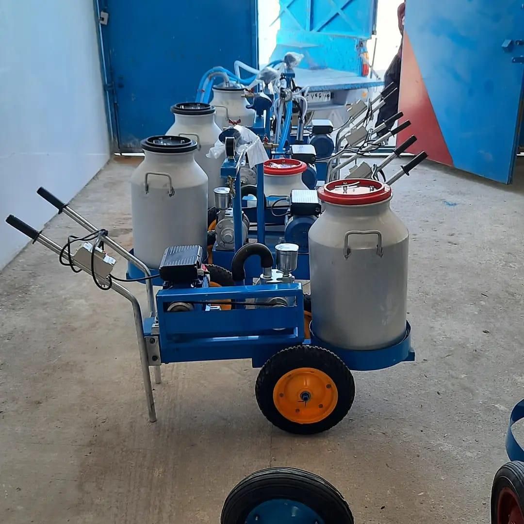 بزدوش و گاو و گوسفند و شیردوش|لوازم جانبی حیوانات|یزد, |دیوار