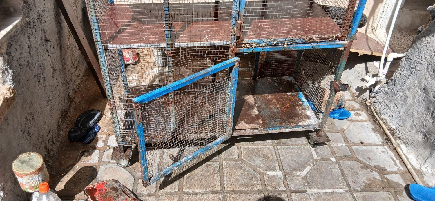 قفس سالم و تمیز .و دو طبقه  و چرخ دار|پرنده|شیراز, سعدیه شمالی|دیوار