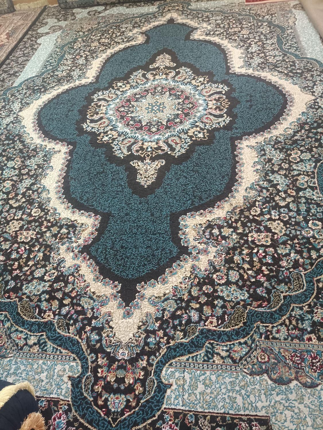 قالی 12متری|فرش|کازرون, |دیوار