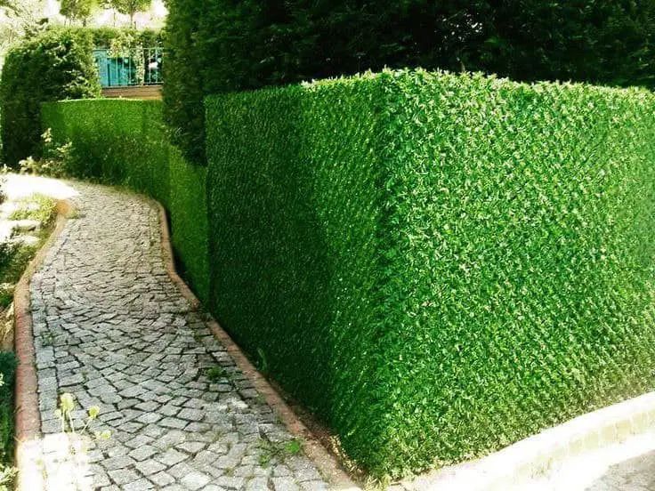 فروش فنس چمنی و فنس برگی زیر قیمت پایه|مصالح و تجهیزات ساختمان|کرج, بازار مصالح ساختمانی|دیوار