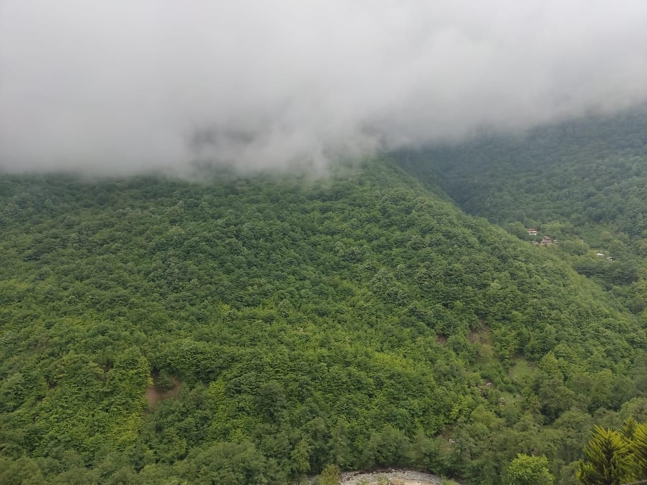 ویلا آپارتمان نگین یک دوهزار|اجارهٔ کوتاهمدت آپارتمان و سوئیت|تنکابن, |دیوار