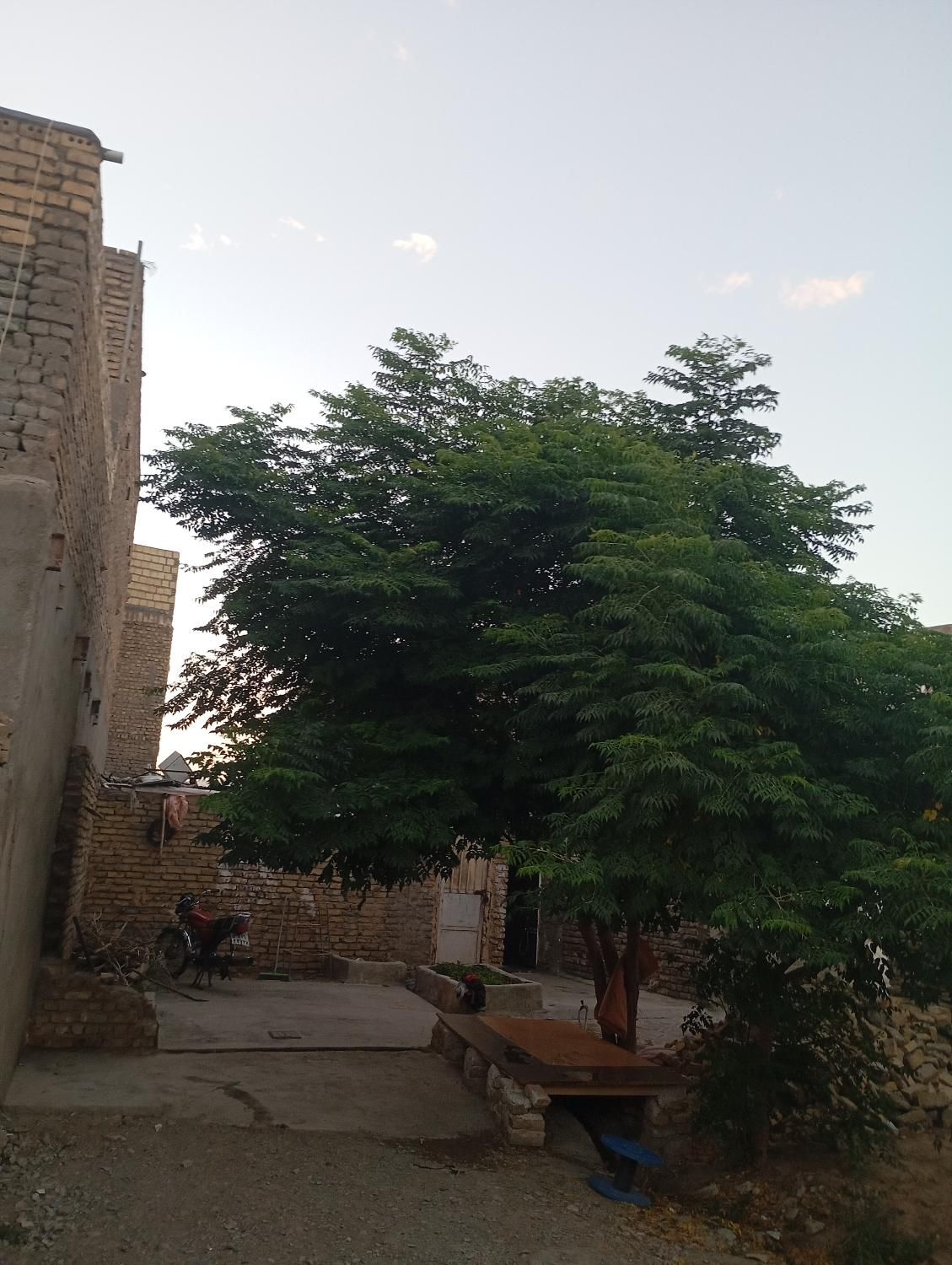 زمین چهار دیواری|فروش زمین و ملک کلنگی|تربت‌حیدریه, بالا ولایت|دیوار