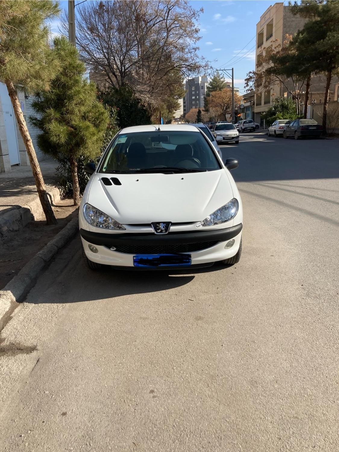 پژو 206 تیپ ۲، مدل ۱۴۰۱|خودرو سواری و وانت|کرمان, |دیوار