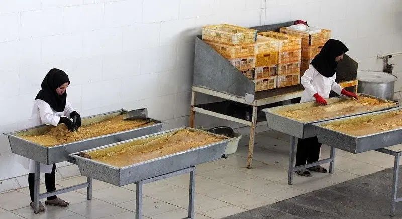 سرمایه گذار جهت راه اندازی تولید مواد غذایی|خدمات مالی، حسابداری، بیمه|زنجان, |دیوار
