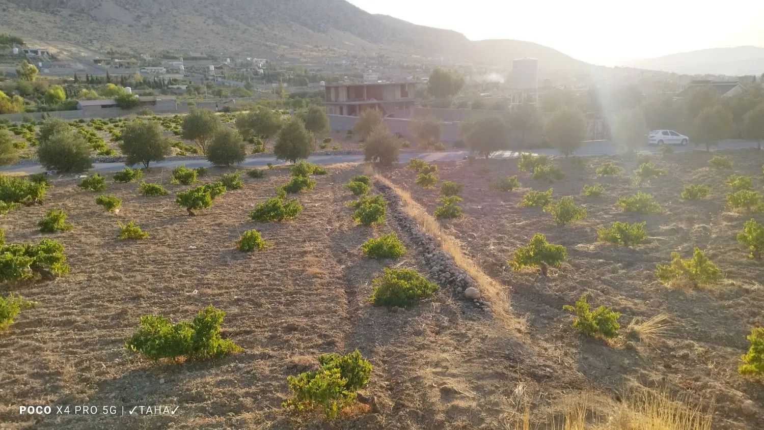 فروش باغ ۲۸۰۰ متری واقع در شیراز شهرستان زرقان|فروش زمین و ملک کلنگی|زرقان, |دیوار