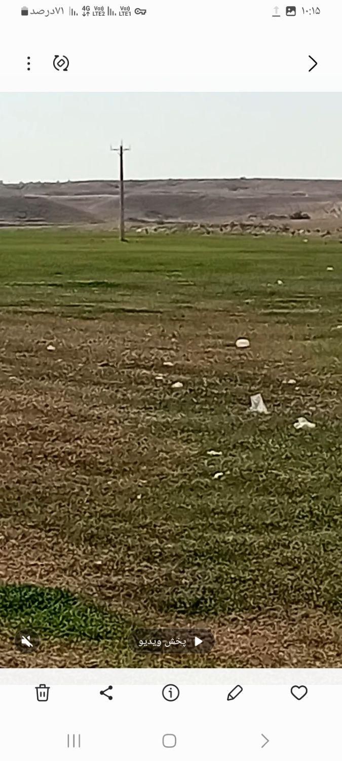 فروش۵۳ هکتار زمین کشاورزی چنانه شوش|فروش دفتر صنعتی، کشاورزی، تجاری|شوش, |دیوار