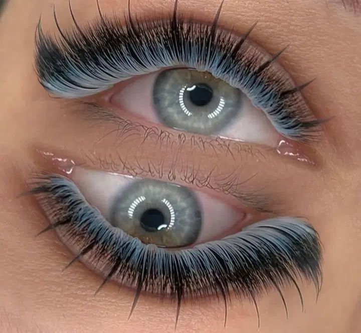 آموزش اکستیشن مژه کاشت خدمات|خدمات آرایشگری و زیبایی|اصفهان, سروستان|دیوار