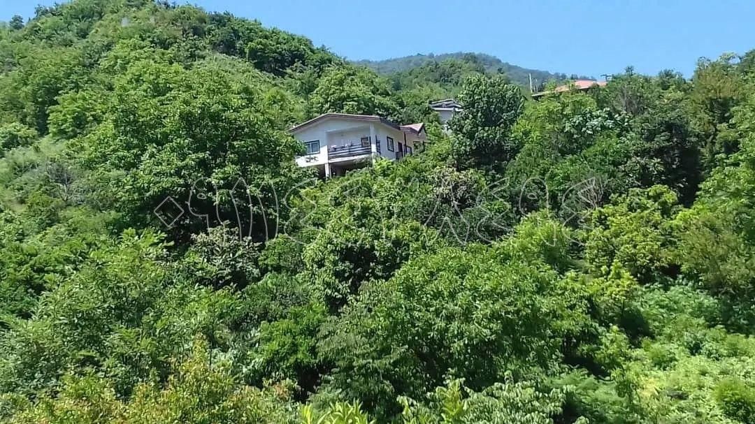 ویلای جنگلی 420متری در بام کشپل جوربند|فروش خانه و ویلا|نور, |دیوار