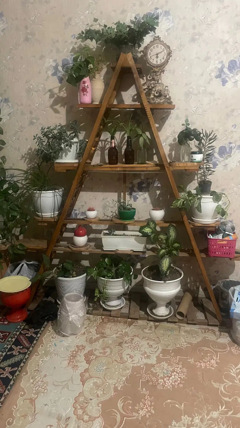 قفسه چوبی|کتابخانه، شلف، قفسه‌های دیواری|کرج, شهرک جهان‌نما|دیوار