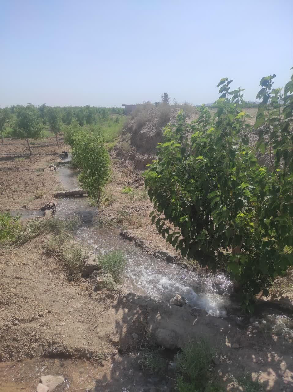 تصویر 2
