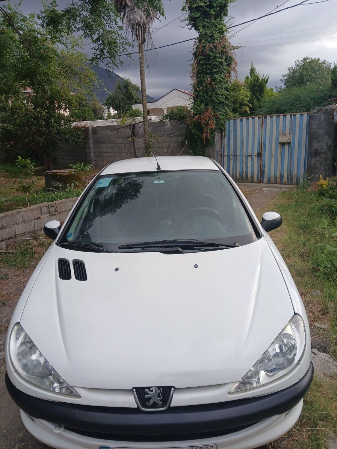 206  V8  SD صندوقدار|خودرو سواری و وانت|چابکسر, |دیوار
