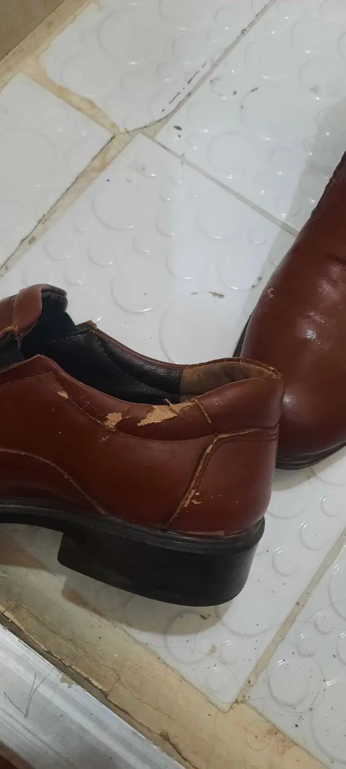 کفش مردانه و زنانه|کیف، کفش، کمربند|کرج, شهرک البرز ۳|دیوار