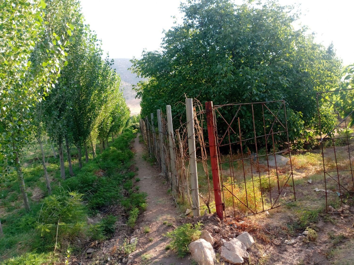 فروش زمین ۱۹۰۰ متری|فروش زمین و ملک کلنگی|ایوان, |دیوار