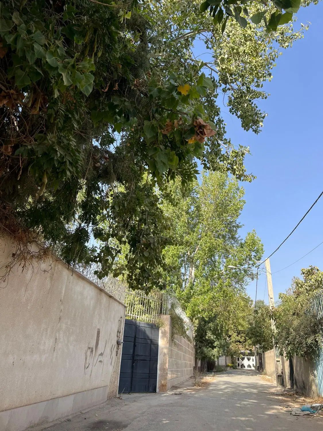 ۵۷۰متر زمین داخل بافت، تهراندشت، سعیدآباد|فروش زمین و ملک کلنگی|کرج, فاز ۲ مهرشهر|دیوار