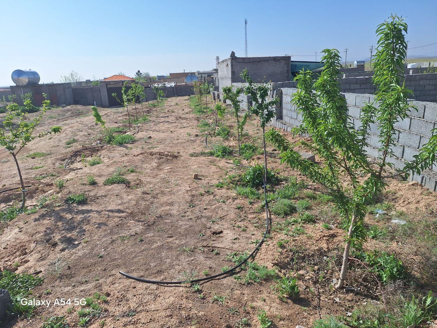 فروش باغ دور دیوار در قشلاق (مقابل تپه سلام )|فروش خانه و ویلا|رضویه, |دیوار