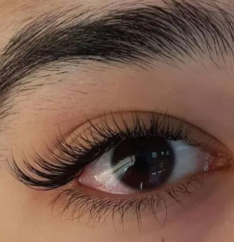 اکستنشن و کاشت مژه لیفت و لمینت ابرو و مژه|خدمات آرایشگری و زیبایی|شیراز, فرگاز|دیوار