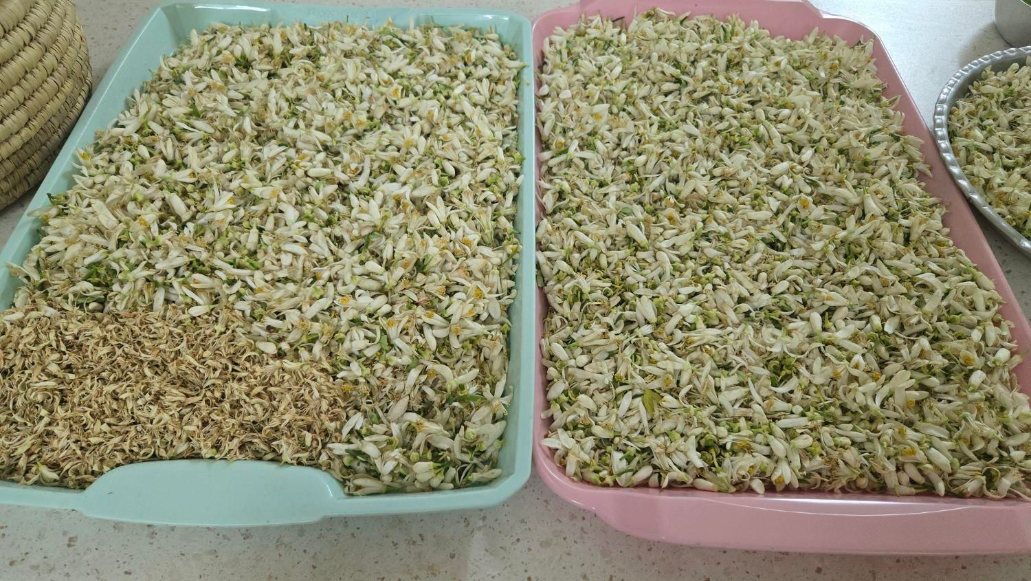 عرقیات خااص خانگی|خوردنی و آشامیدنی|شیراز, گلشن|دیوار