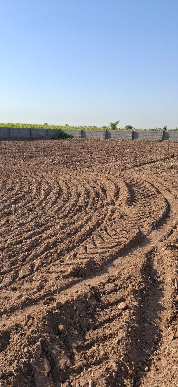 فروش باغچه ۱۹۰۰ متری در دزفول|فروش دفتر صنعتی، کشاورزی، تجاری|اهواز, پادادشهر|دیوار