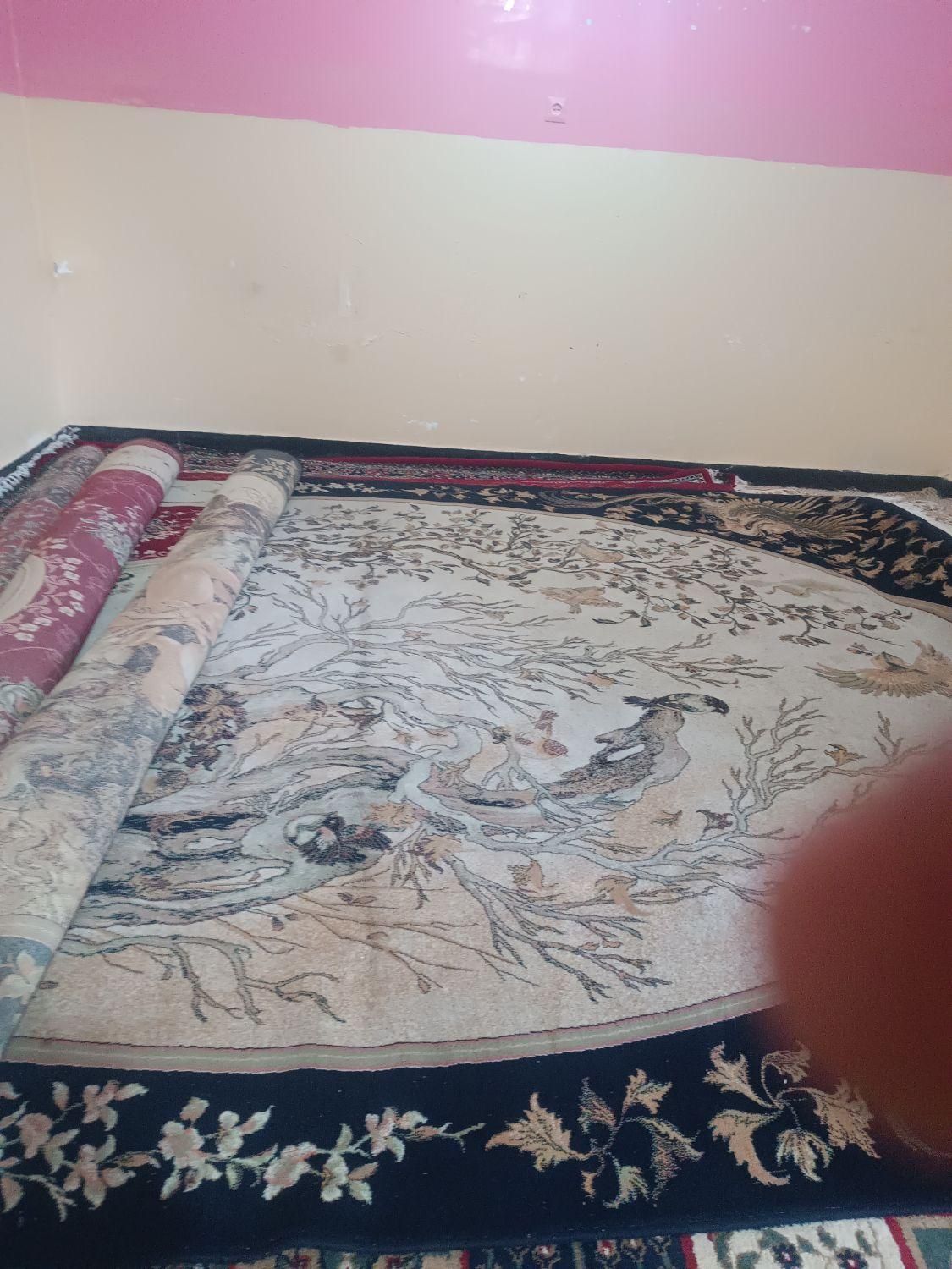 به علت مهاجرت فرش ۱۲متری و لوازم خانگی|فرش|اندیکا, |دیوار