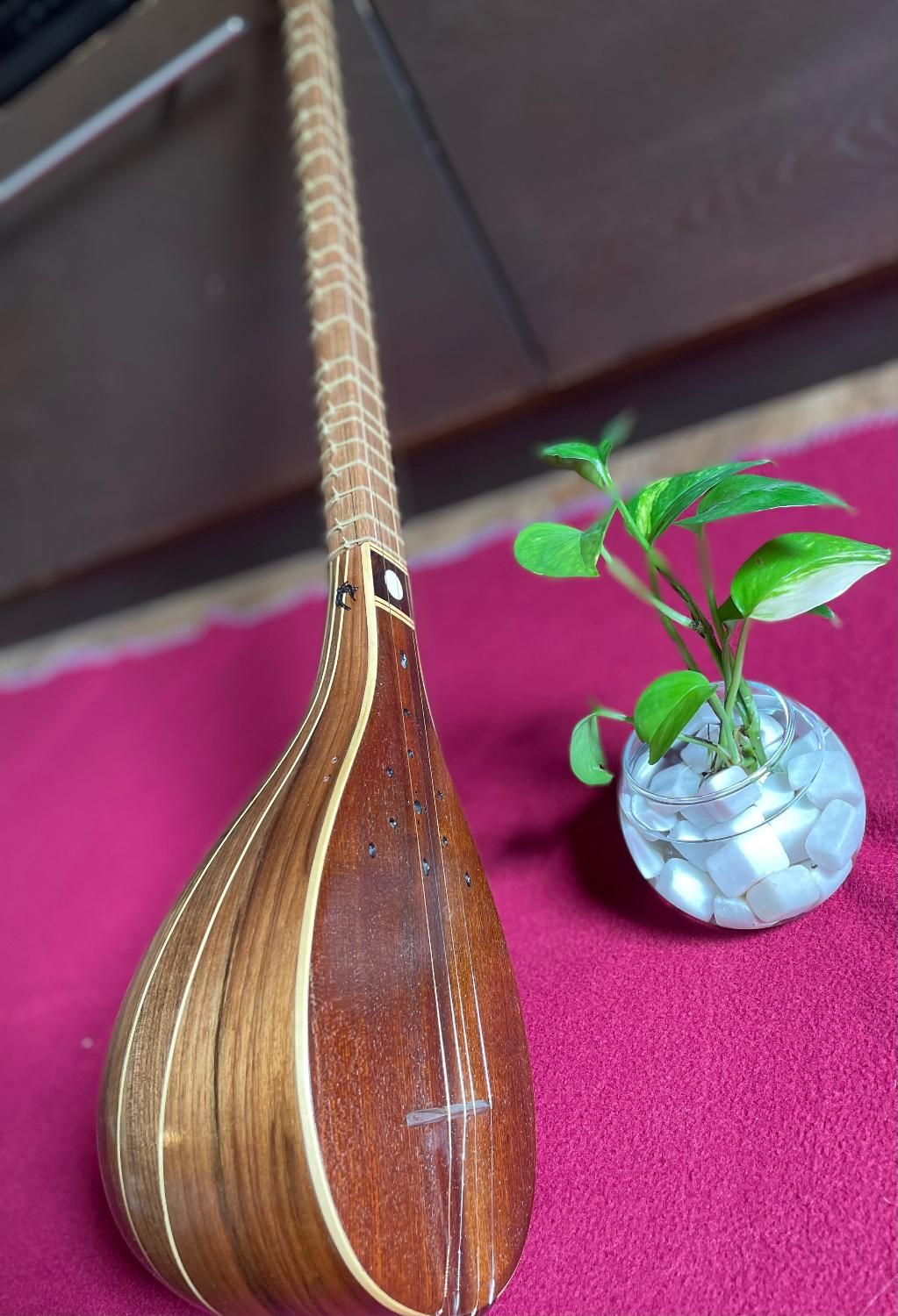 سه تار حرفه ای ساخته استاد صدر|سازهای سنتی|شیراز, قدوسی غربی|دیوار
