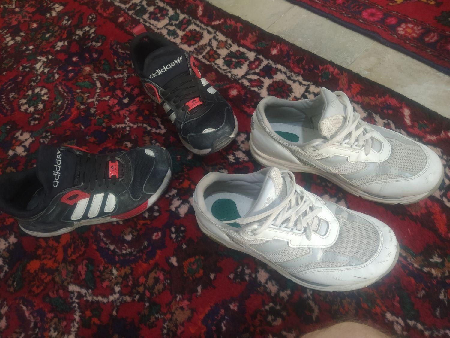 کتونی|کیف، کفش، کمربند|ساوه, |دیوار