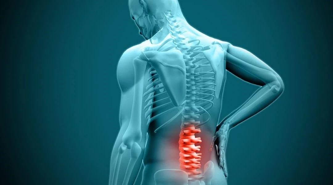 تشک مخصوص دیسک کمر|تشک تختخواب|اصفهان, جلفا|دیوار