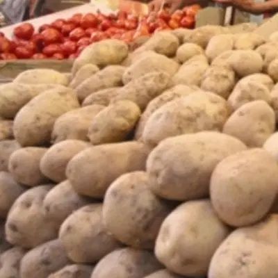 میوه و تره بار تازه تاسیس برکت با قیمت مناسب|خوردنی و آشامیدنی|نیشابور, شهرک اندیشه|دیوار