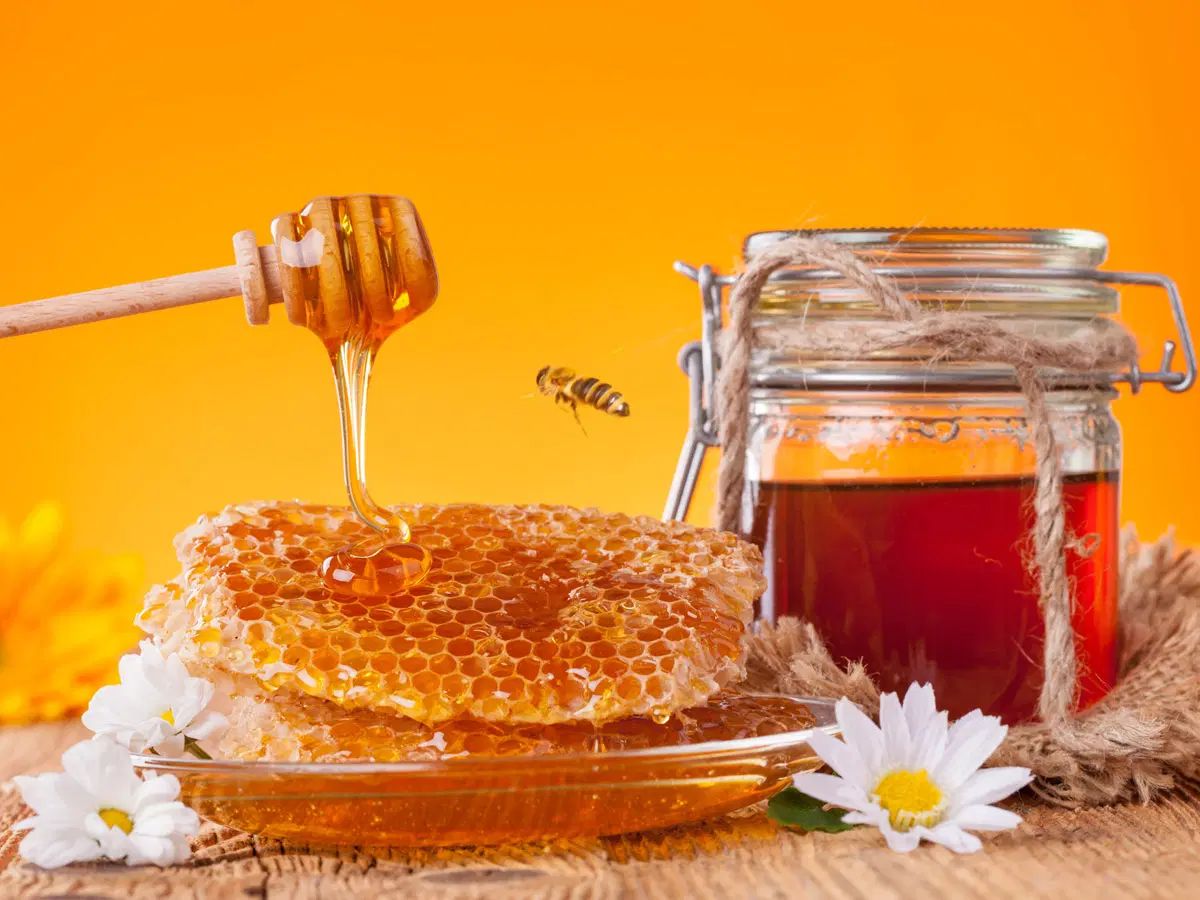 عسل طبیعی کردستان(گون)|خوردنی و آشامیدنی|تهران, آسمان|دیوار
