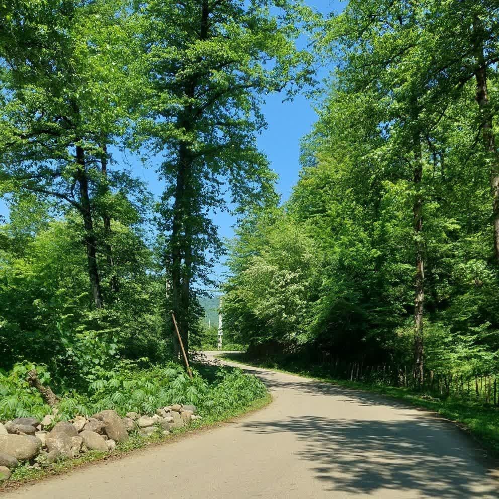 اجاره ویلا منطقه جنگلی و کوهستانی|اجارهٔ کوتاه‌مدت آپارتمان و سوئیت|بابلسر, |دیوار