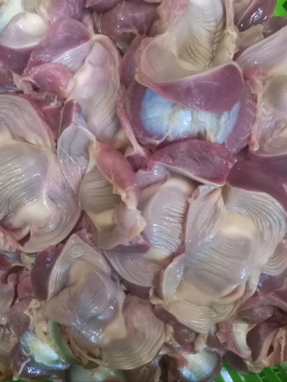 فروش سنگدان مرع گوشتی|خوردنی و آشامیدنی|اصفهان, شهرستان|دیوار