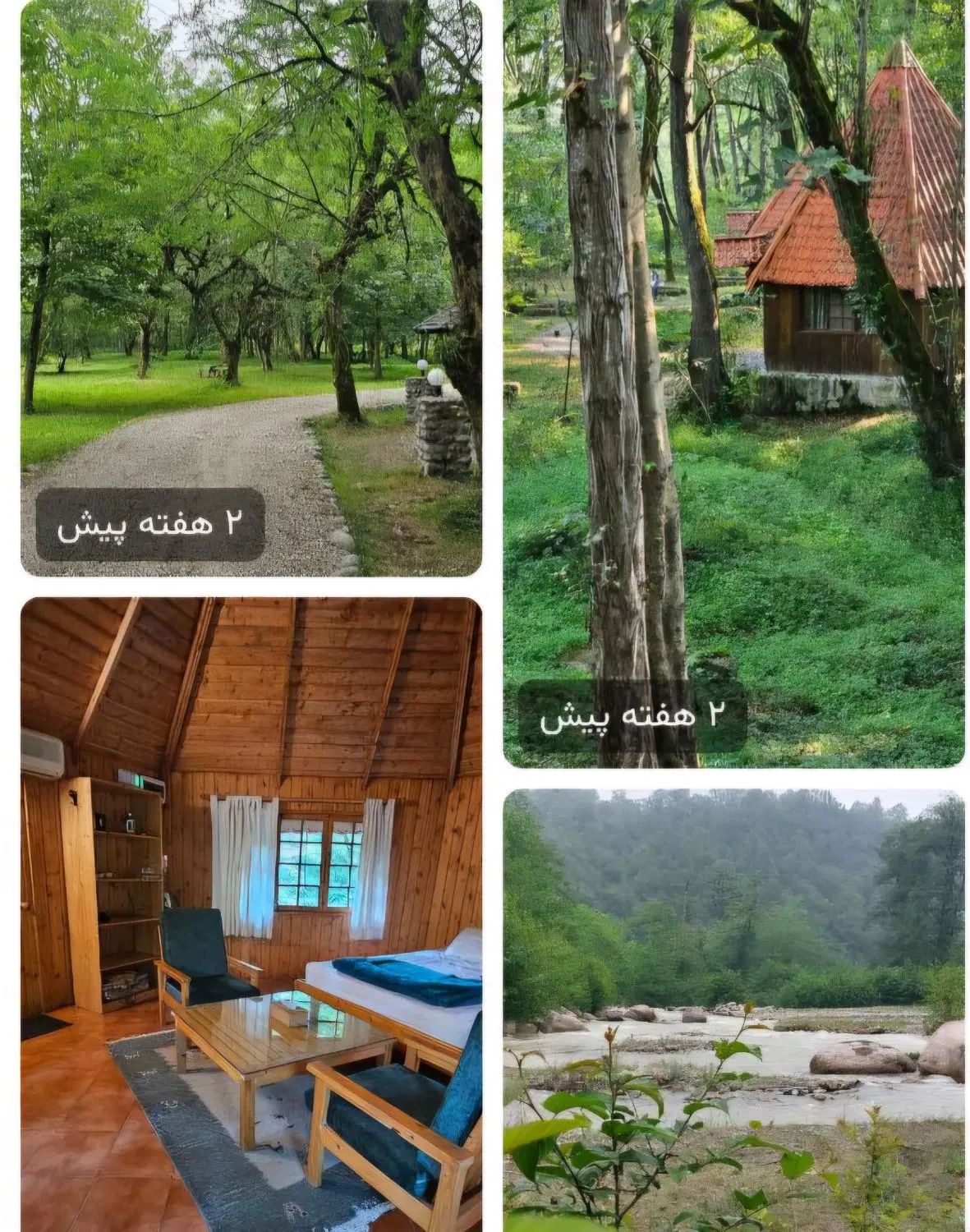 سفر امن و راحت  ویژه بانوان عزیز مشهدی|تور و چارتر|مشهد, فارغ التحصیلان|دیوار
