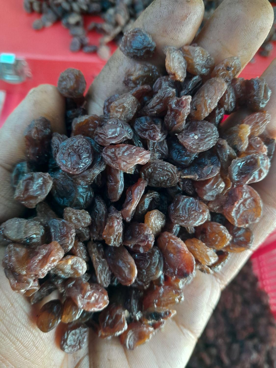 کشمش قزوین|خوردنی و آشامیدنی|قزوین, |دیوار