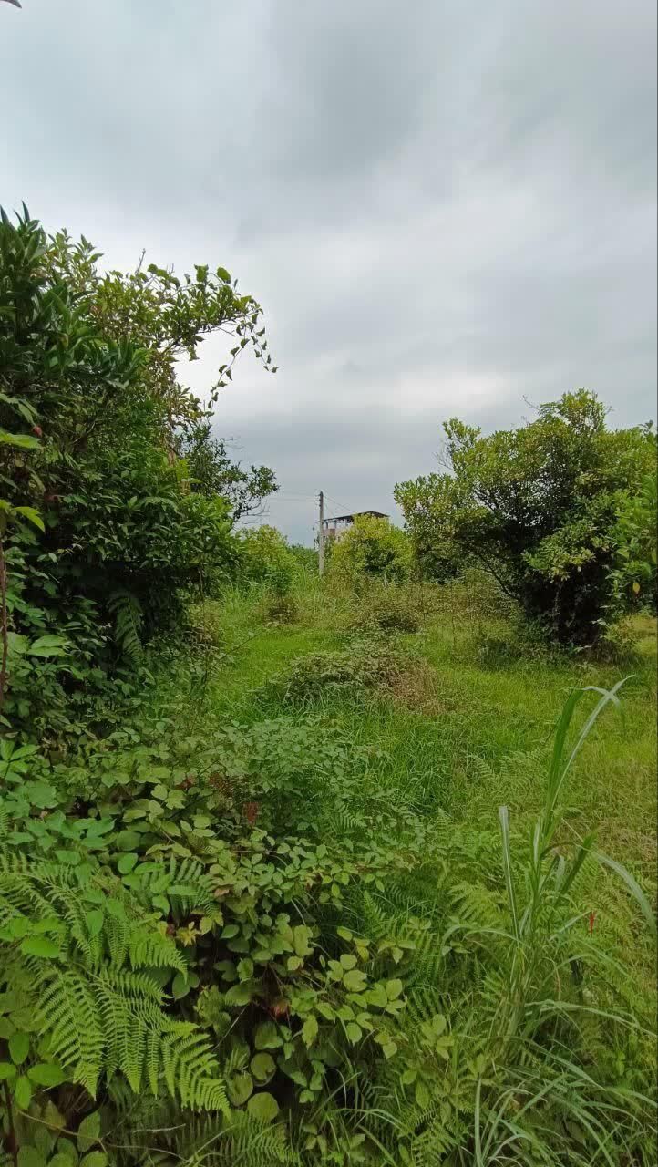 ۲۷۰ متر زمین بافت مسکونی بزچفت بابلکنار|فروش زمین و ملک کلنگی|بابل, |دیوار